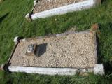 image of grave number 299083